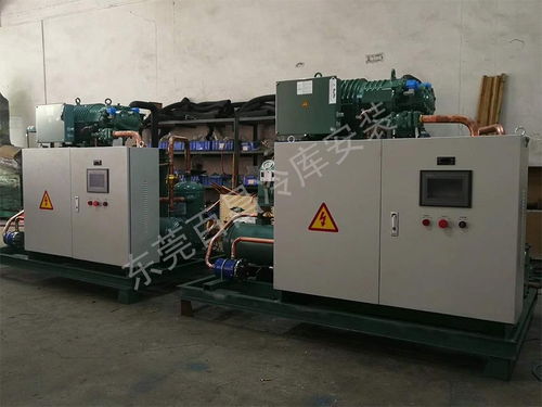 珠海鱸魚(yú)加工廠冷庫(kù)安裝 構(gòu)建高品質(zhì)、高安全性的食品儲(chǔ)存解決方案